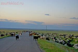 Выезд в степи - _DSC1983.jpg