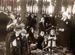 Исчезнувшие лица. Освенцимский альбом. 1944 год - 0_1e151a_9bc38a88_orig.jpg