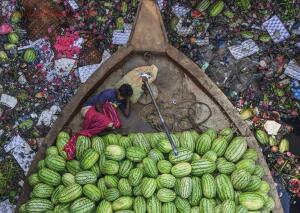 Определены победители фотоконкурса Environmental Photographer of the Year 2018 - IMG_20180926_232747_532.jpg